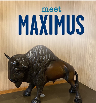 Buffalo Lodging Max Logo Buffalo Lodging Max Logo