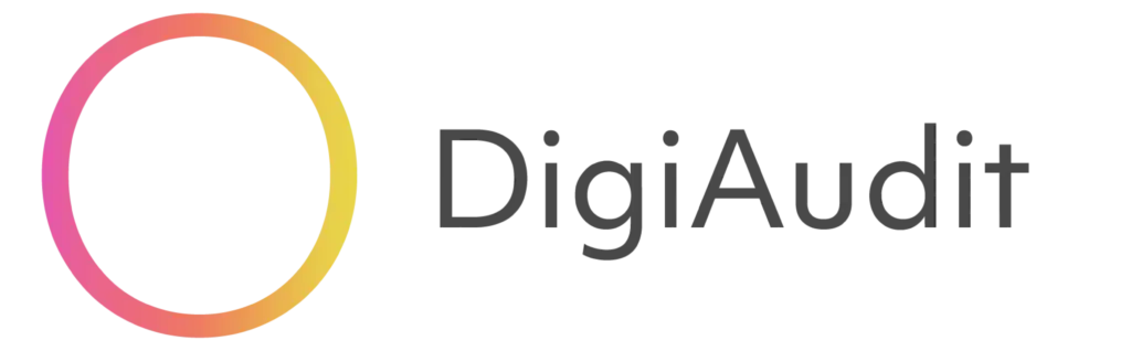 DigiAudit-Horizontal-1-1024x318